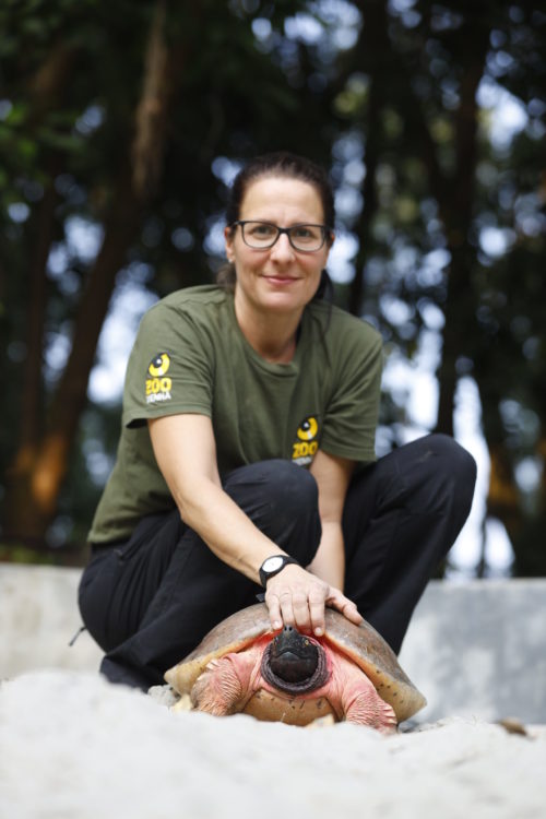 10 Jahre Artenschutzprojekt Batagur-Flussschildkröte
