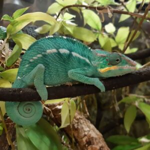 Verein der Freunde des Haus des Meeres_c_Judith Kastenmeier