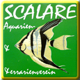 verein_aquarienverein_und_terrarienverein_scalare