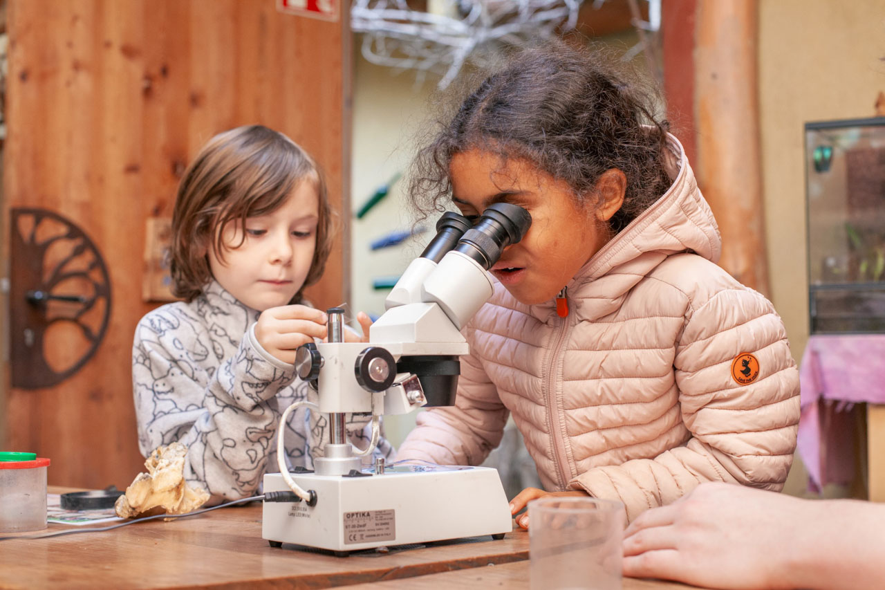 WIR UND DIE NATUR IN WIEN - Entdecken, Forschen, Spielen und Kreativ sein im Naturparadies