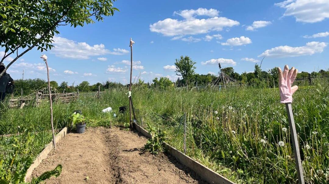 Becoming Stickiness - Solstice Kinning