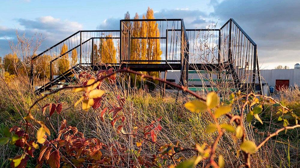 Gastvortrag in der Forschungsstation für nicht- und humane (noch) nicht respektierte Gesellschaftsformen